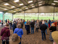 AH190423-12 - Anthony Honeyball Stable Visit